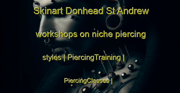 Skinart Donhead St Andrew workshops on niche piercing styles | PiercingTraining | PiercingClasses | SkinartTraining-United Kingdom